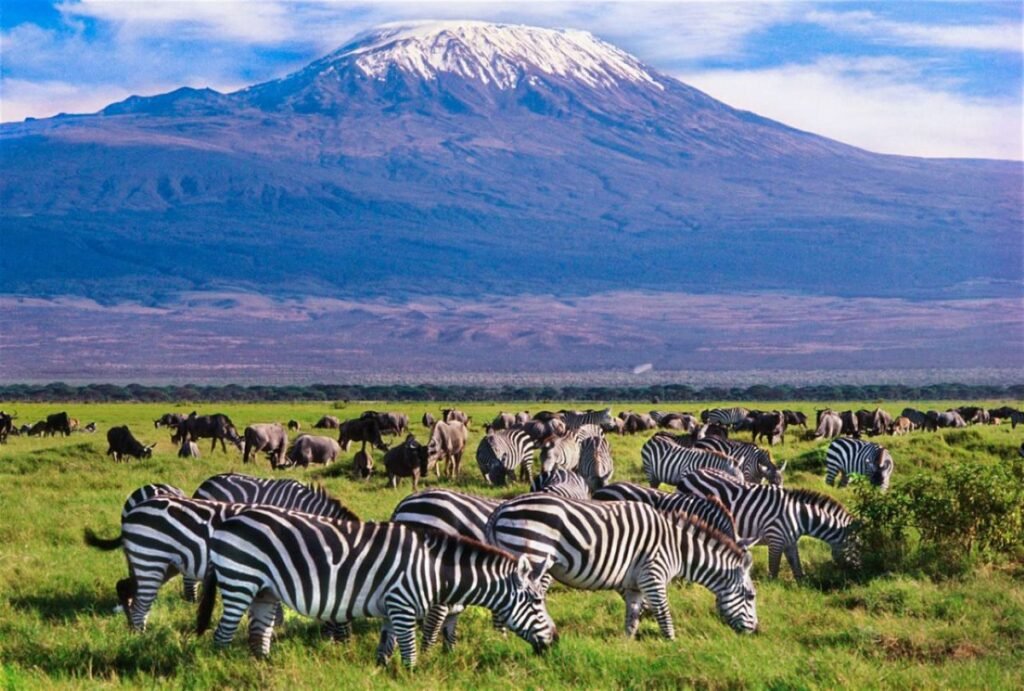 Tsavo West & Amboseli 3-Day Safari from Voi